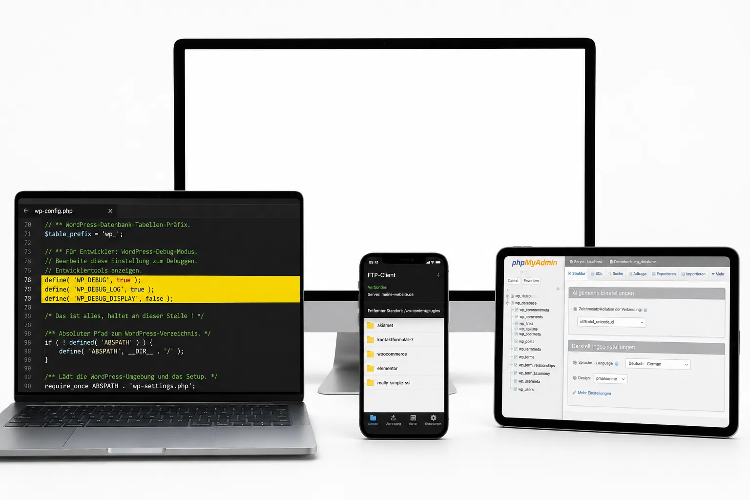 Wie auf die WordPress-Datenbank zugreifen, wenn der Admin down ist?